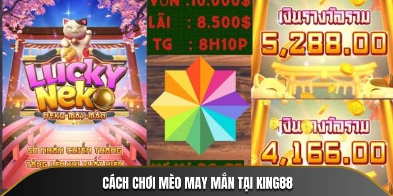 Cách chơi Mèo May Mắn tại King88