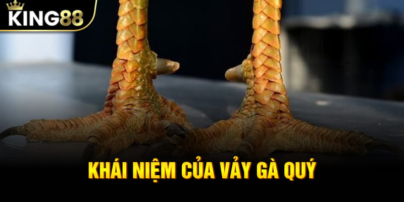 Khái niệm của vảy gà quý