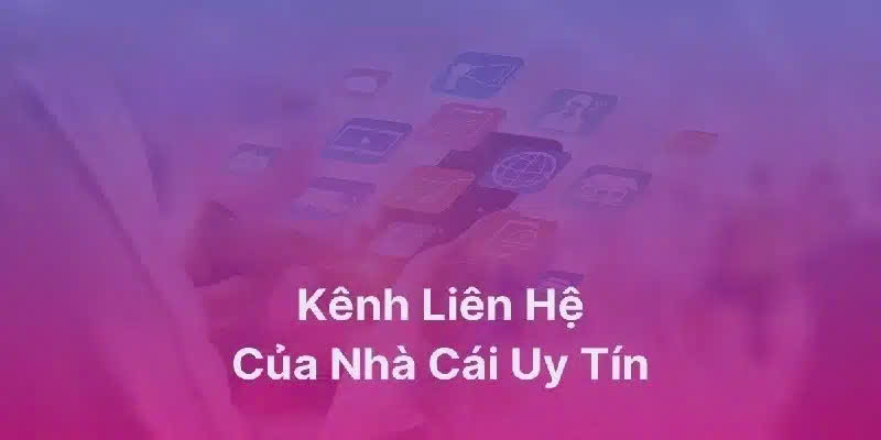 Thời điểm liên hệ KING88 thích hợp