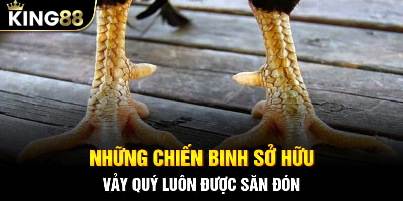 Những chiến binh sở hữu vảy quý luôn được săn đón