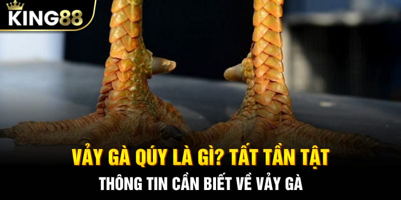 vảy gà quý